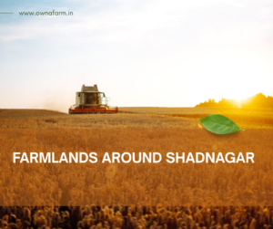Farmlands around Shadnagar