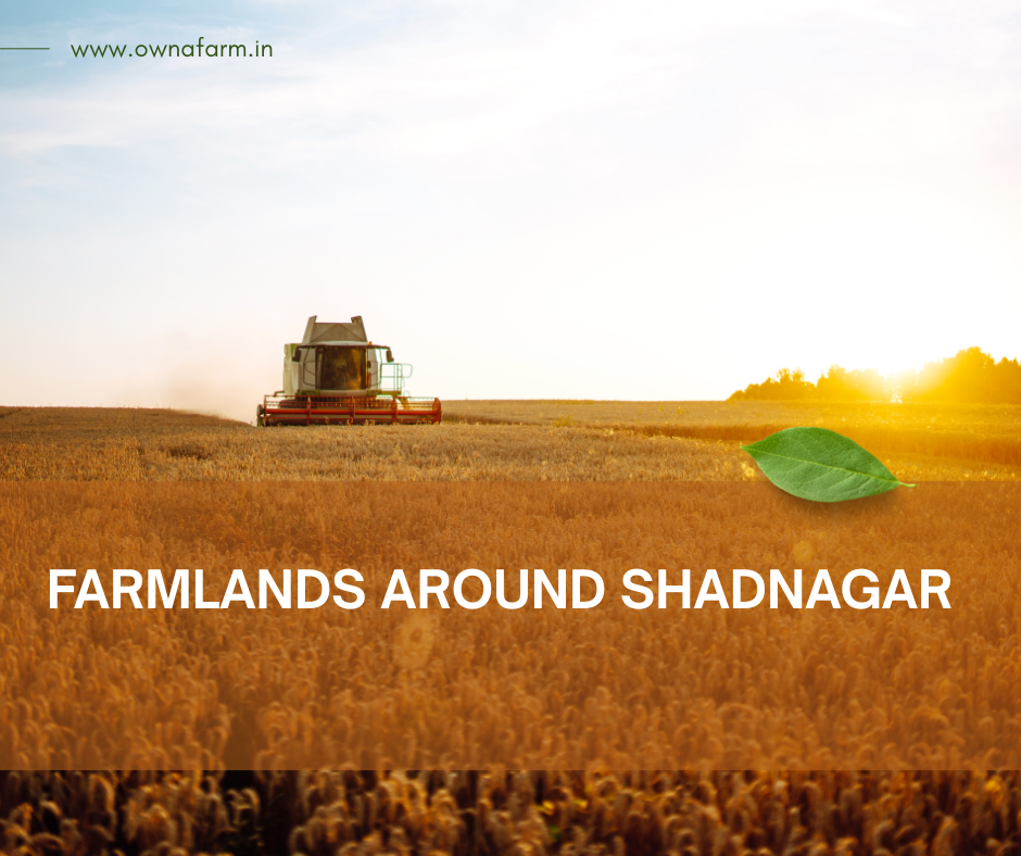 Farmlands around Shadnagar