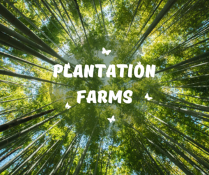 Hyderabad Air Purifiers