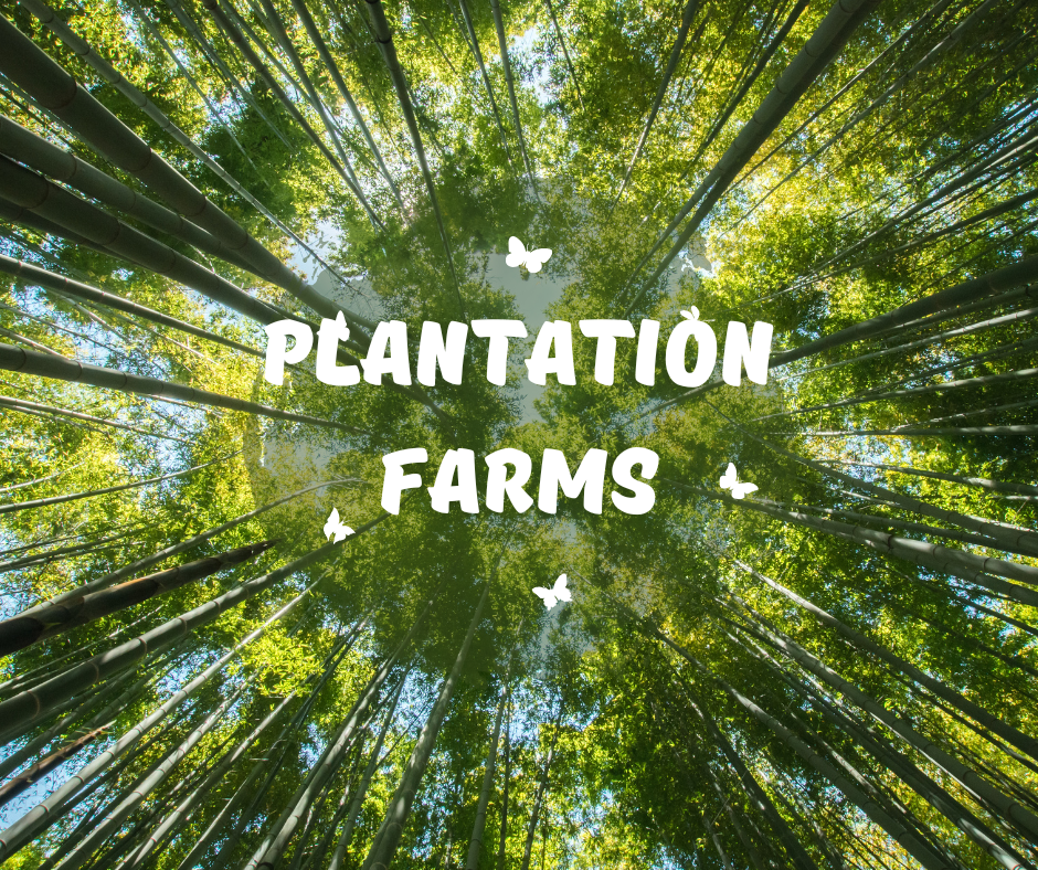 Hyderabad Air Purifiers