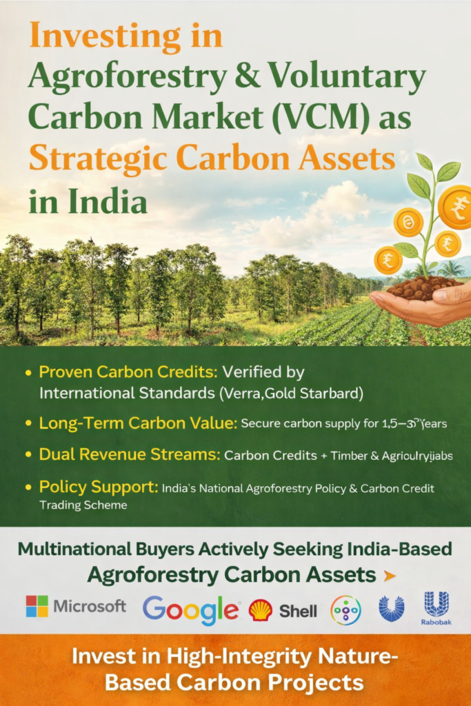 Infographic showing agroforestry farms in India as strategic carbon assets under the Voluntary Carbon Market with multinational corporate buyers and long-term carbon revenue benefits.