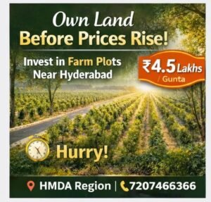 Plantation farm plots investment near Hyderabad with sandalwood, mahogany and timber trees starting at ₹4.5 lakhs per gunta.