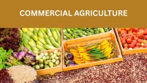 Profitable Agriculture in India: Smart Farming & Agri Land Investment Opportunities in Telangana & Andhra Pradesh