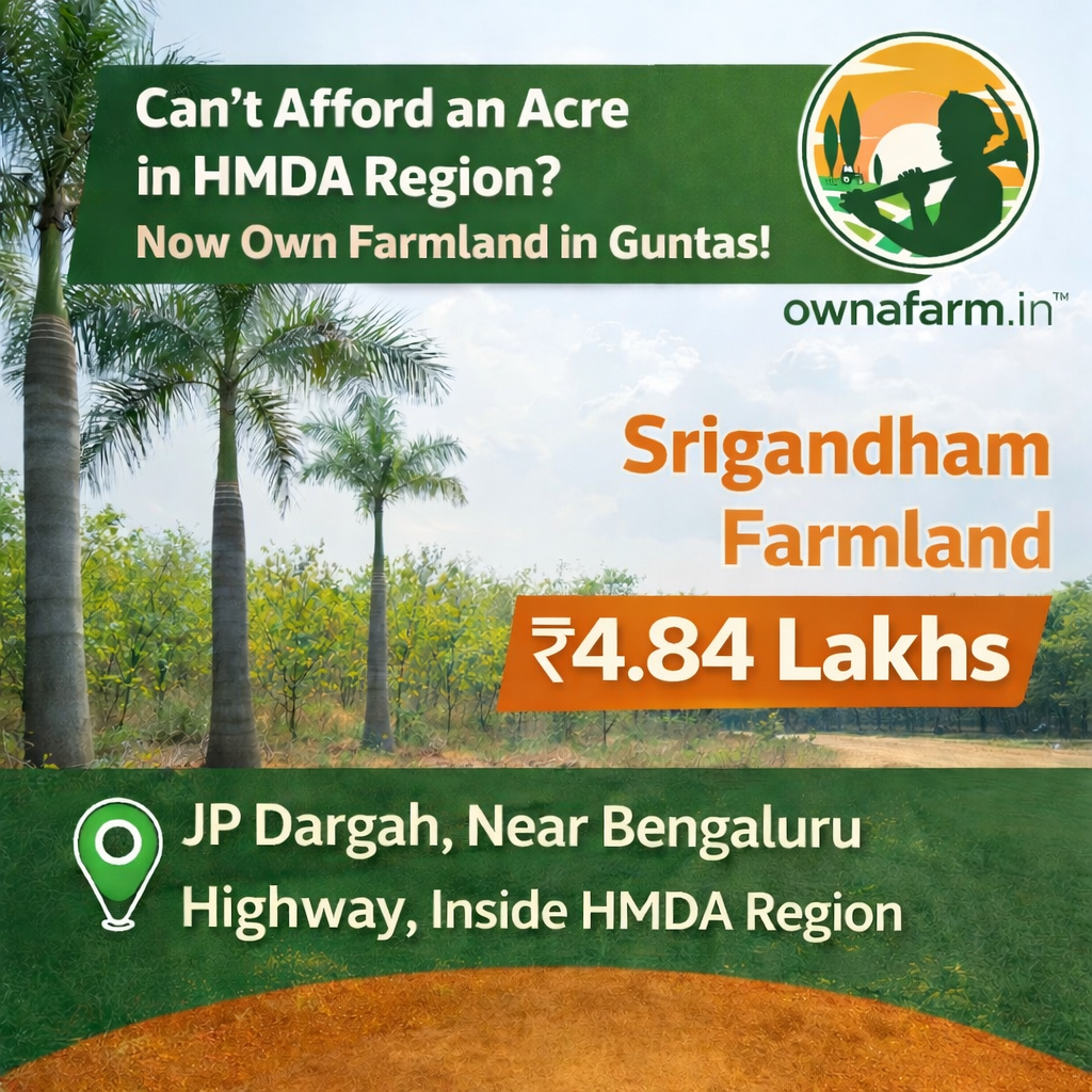 Srigandham farmland near JP Dargah, Bengaluru Highway inside HMDA Region priced at ₹4.84 lakhs per gunta