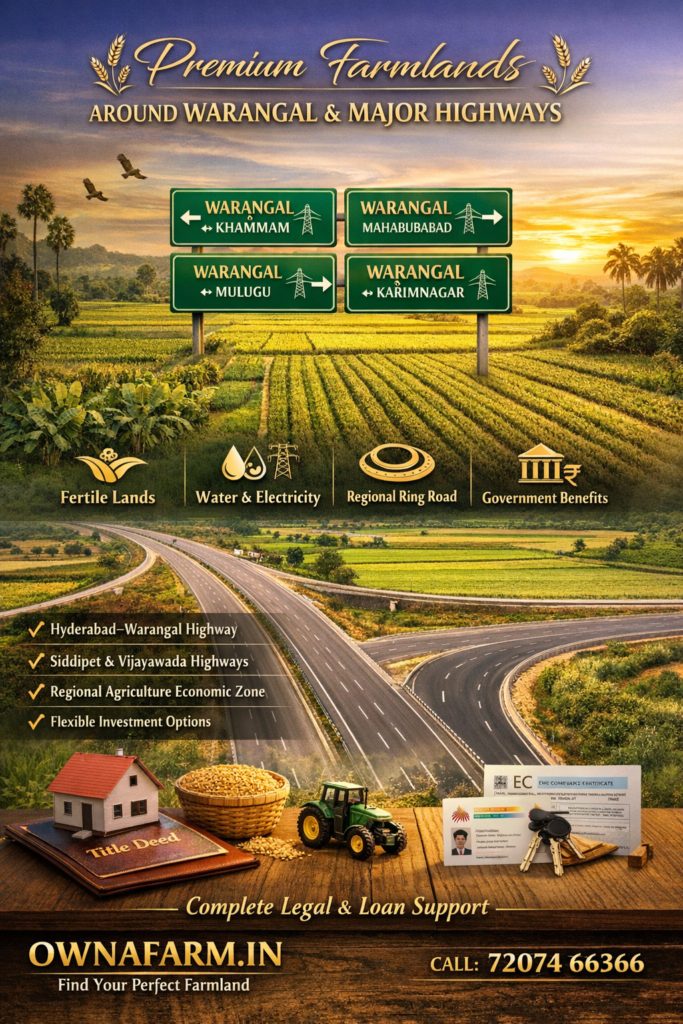 Luxury farmland near Warangal highways with fertile land, road connectivity, water, electricity and investment benefits in Telangana