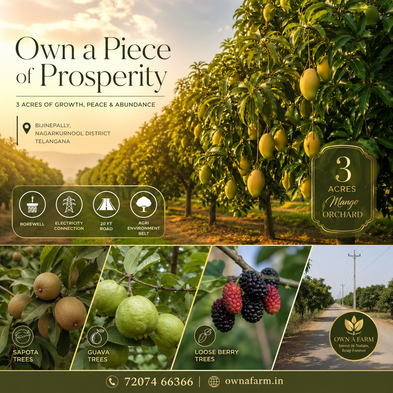 3 acre mango farm land with borewell electricity road access in Bijinepally Nagarkurnool Telangana