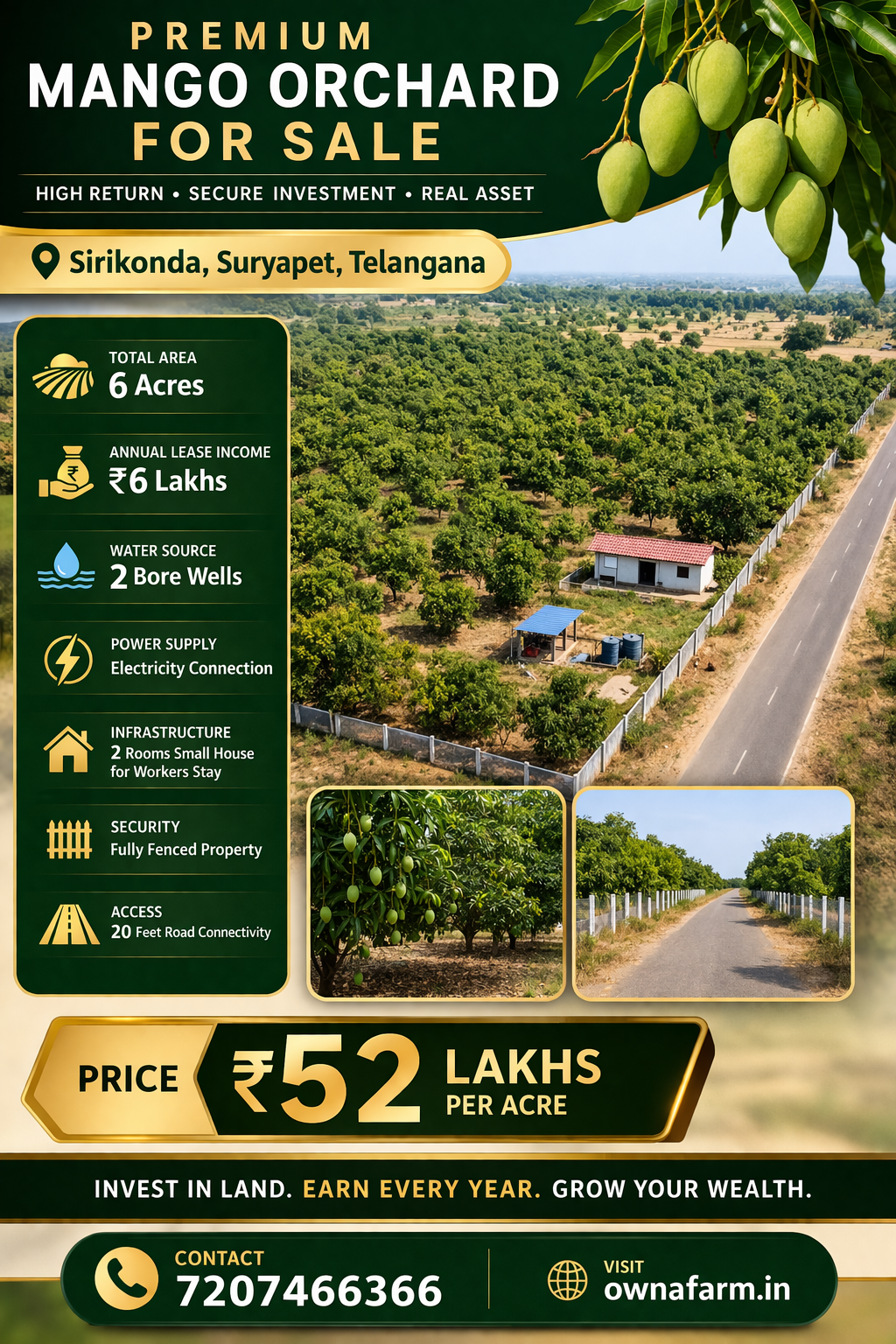 6 Acre Mango Farm with ₹6 Lakhs Annual Income, Bore Wells & Road Access in Suryapet Telangana
