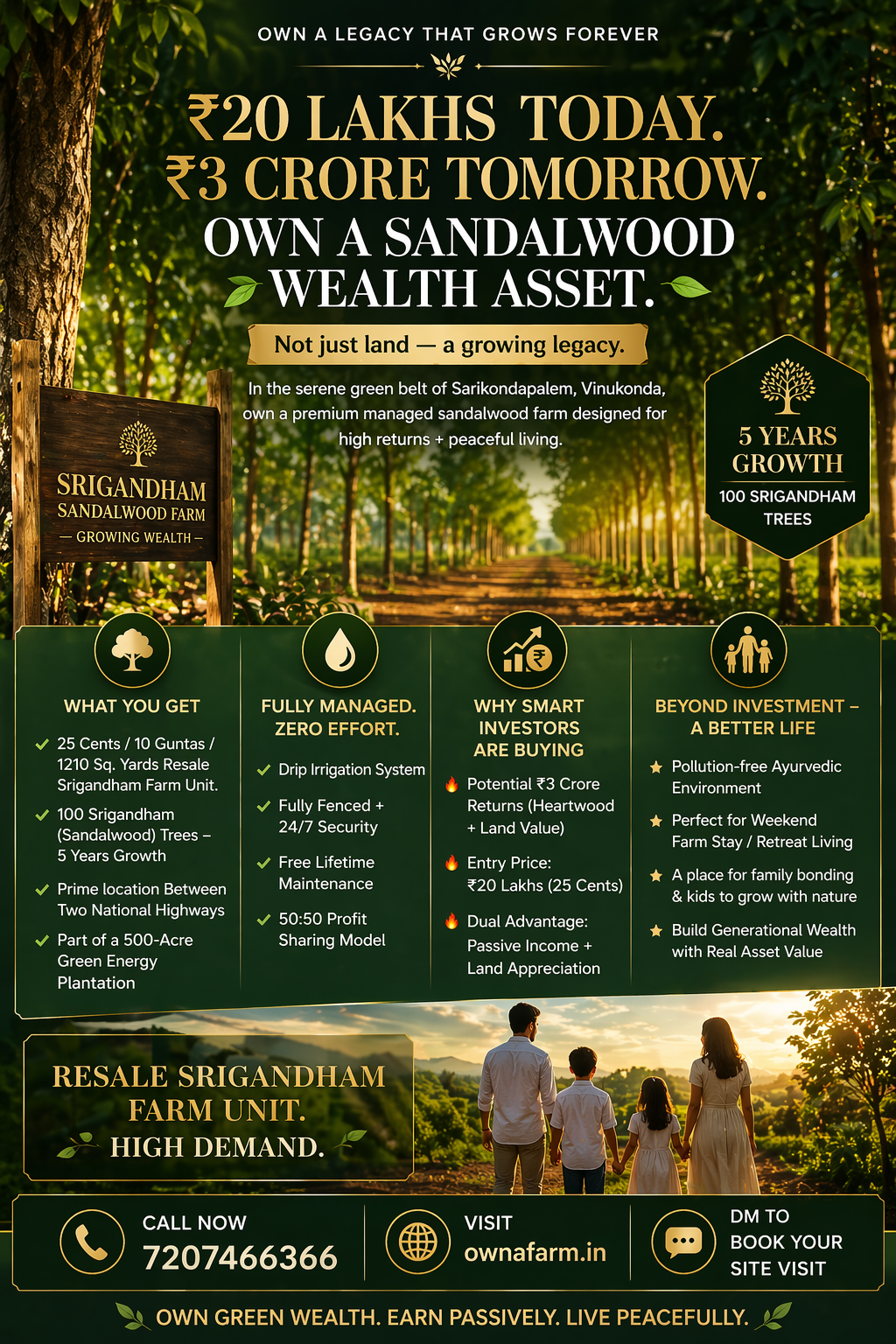 Sandalwood plantation farm in Sarikondapalem Vinukonda with 100 Srigandham trees 5 years growth managed farmland investment Andhra Pradesh