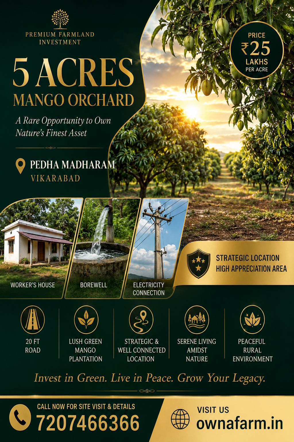 5 Acre Mango Farm Land for Sale in Vikarabad with Borewell Electricity and Worker House