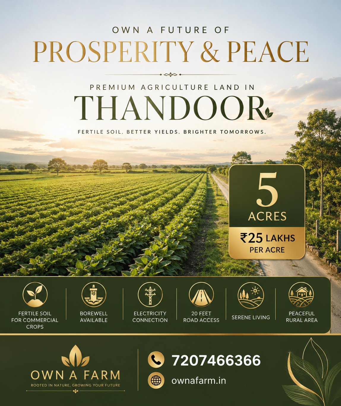 Premium 5 Acre Farmland in Thandoor with Fertile Soil, Borewell, Electricity and 20 Feet Road Access