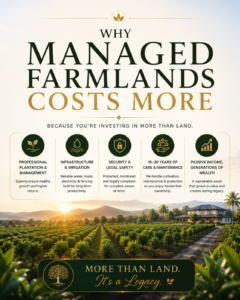 Managed Farmland vs Raw Land: Understanding the True Cost of Building a Productive Agricultural Asset. Premium managed farmland investment project highlighting professional farm management, infrastructure development, security, irrigation, maintenance, passive income, and long-term wealth creation.