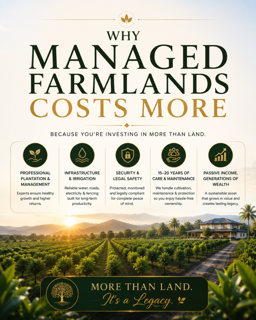 Managed Farmland vs Raw Land: Understanding the True Cost of Building a Productive Agricultural Asset. Premium managed farmland investment project highlighting professional farm management, infrastructure development, security, irrigation, maintenance, passive income, and long-term wealth creation.