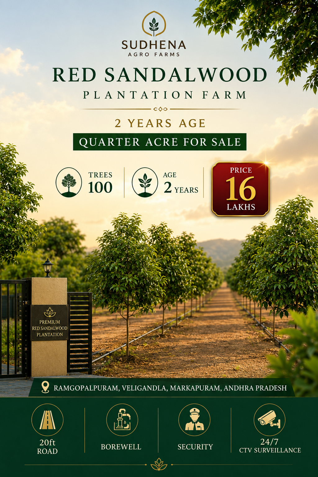 Premium 2-Year-Old Red Sandalwood Plantation Farm, Quarter Acre, 100 Trees, Ramgopalpuram, Veligandla, Andhra Pradesh