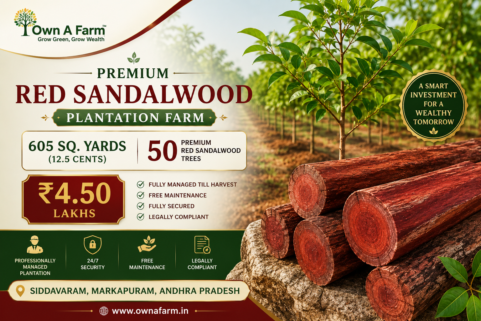 Premium Red Sandalwood Plantation Farm – 605 Sq. Yards with 50 Trees in Siddavaram, Markapuram, Andhra Pradesh | Managed Farmland Investment