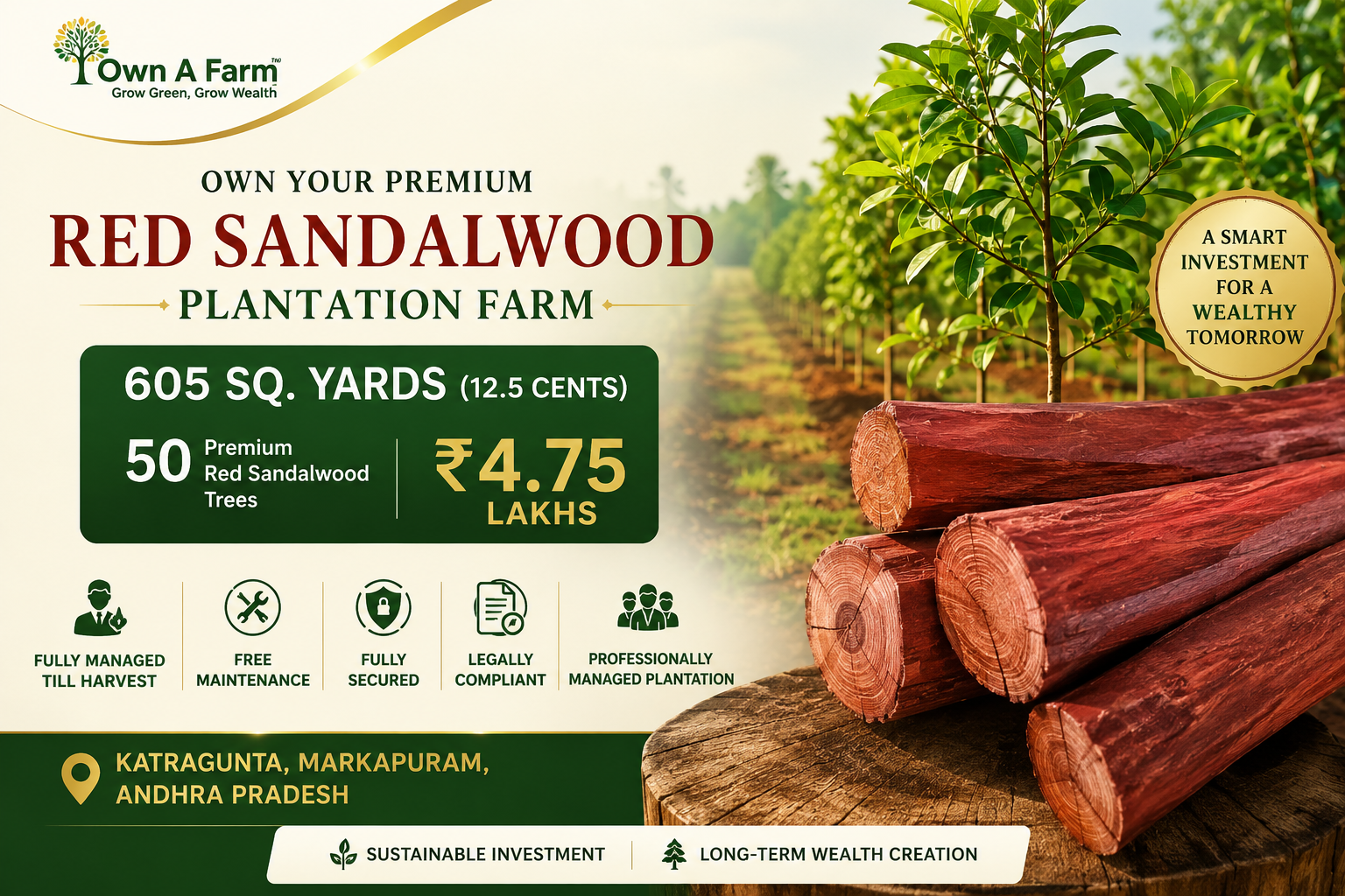 605 Sq. Yards Red Sandalwood Plantation Farm in Katragunta, Markapuram, Andhra Pradesh – 50 Premium Trees | Fully Managed & Secure