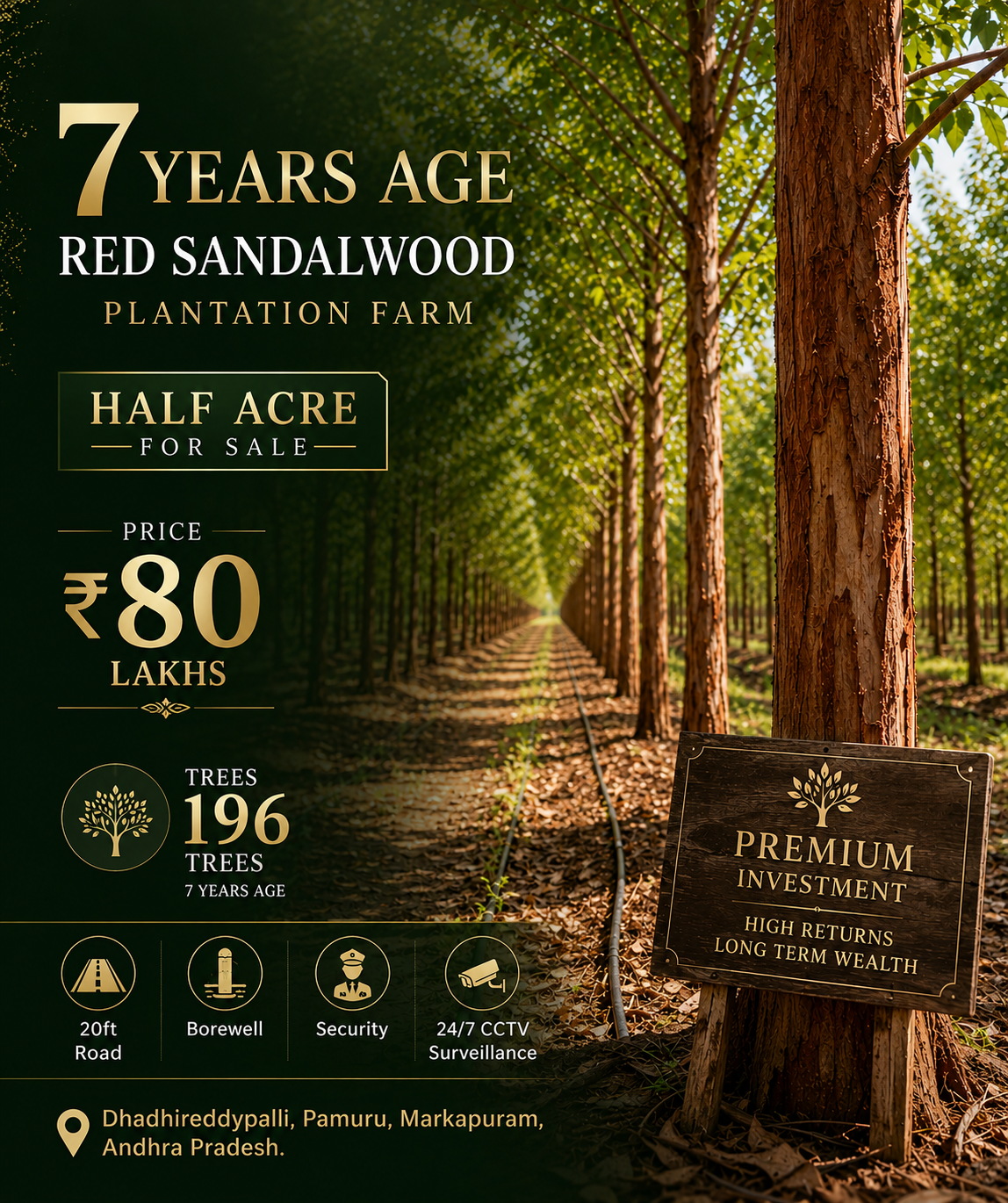 Premium 7-Year-Old Red Sandalwood Plantation Farm – Half Acre with 196 Trees