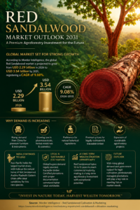 Premium infographic illustrating the global Red Sandalwood market outlook to 2031, featuring Red Sandalwood logs, market growth from USD 2.29 billion in 2026 to USD 3.54 billion by 2031, 9.08% CAGR, sustainable cultivation, agroforestry investment opportunities, and India's leadership in Red Sandalwood production.