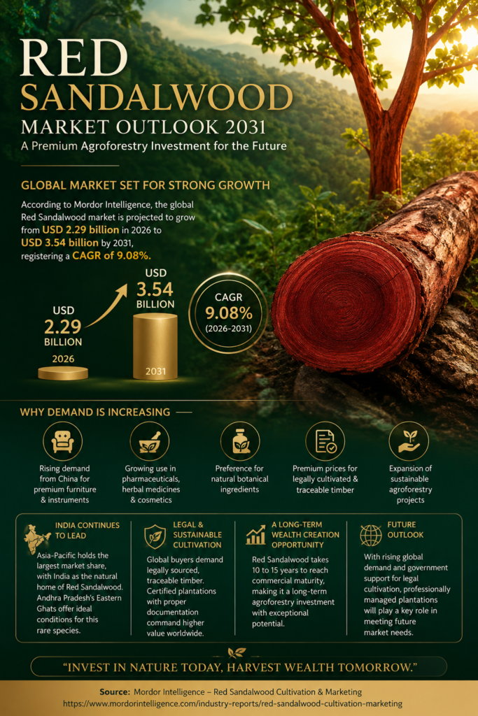 Premium infographic illustrating the global Red Sandalwood market outlook to 2031, featuring Red Sandalwood logs, market growth from USD 2.29 billion in 2026 to USD 3.54 billion by 2031, 9.08% CAGR, sustainable cultivation, agroforestry investment opportunities, and India's leadership in Red Sandalwood production.