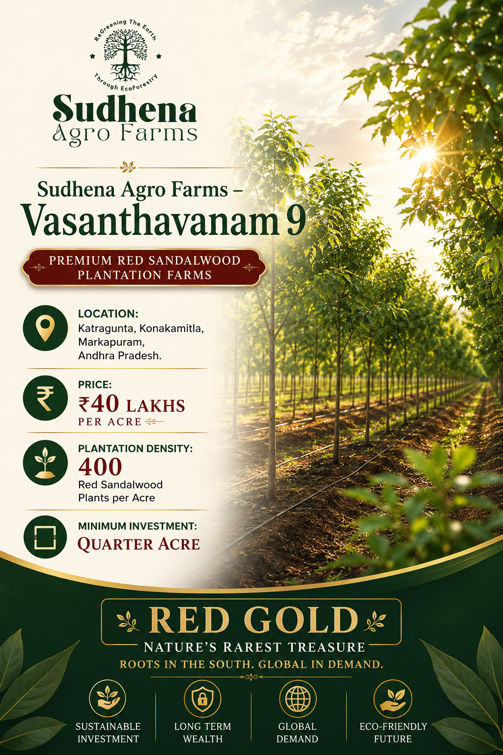 Premium Sudhena Agro Farms Vasanthavanam 9 Red Sandalwood Plantation at Katragunta, Markapuram – ₹40 Lakhs per Acre.
