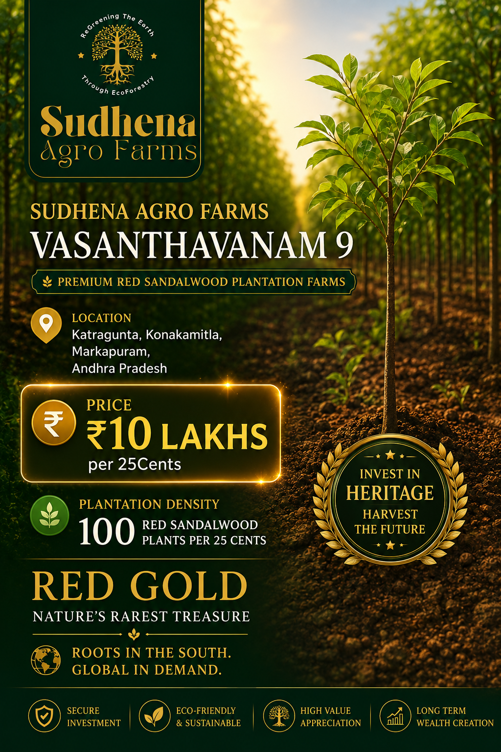 Premium Red Sandalwood Plantation at Vasanthavanam 9, Katragunta | ₹10 Lakhs per 25 Cents | Sudhena Agro Farms