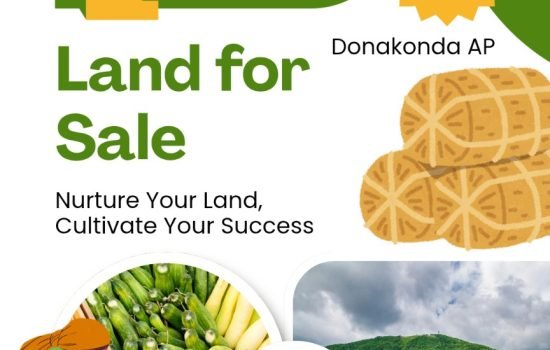 Farmland for Sale in Donakonda Andhra Pradesh – 25 Lakhs per Acre