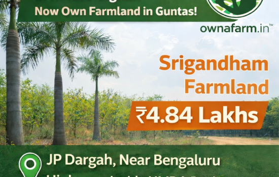 Srigandham farmland near JP Dargah, Bengaluru Highway inside HMDA Region priced at ₹4.84 lakhs per gunta