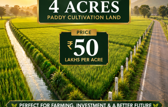 4 Acres fertile paddy farmland with borewell, canal water, electricity and road access for sale in Kusumanchi near Khammam Telangana