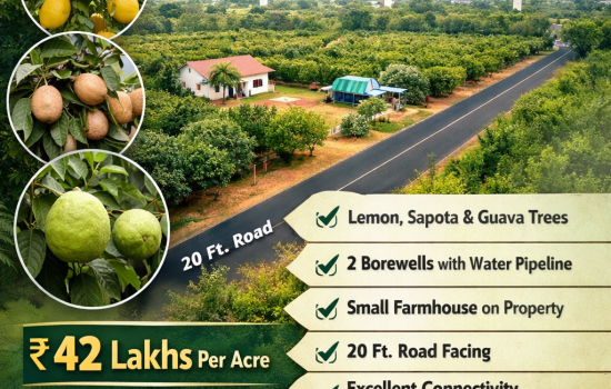 8 acre orchard farmland with lemon sapota guava trees borewell farmhouse in Suryapet Telangana near Hyderabad highway