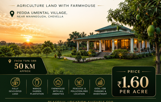 Fully Developed Mango Garden Farmhouse Agricultural Land for Sale at Pedda Umental Near Chevella Hyderabad