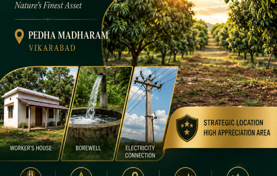 5 Acre Mango Farm Land for Sale in Vikarabad with Borewell Electricity and Worker House