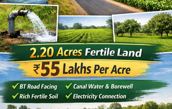 2.20 Acres Fertile Agricultural Land in Ragunathapalem Near Warangal Highway with Canal Water and Borewell
