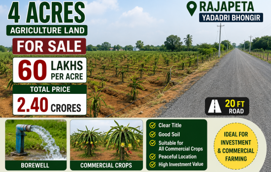 4 Acres Farmland with Borewell and Road Access in Rajapeta, Yadadri Bhongir