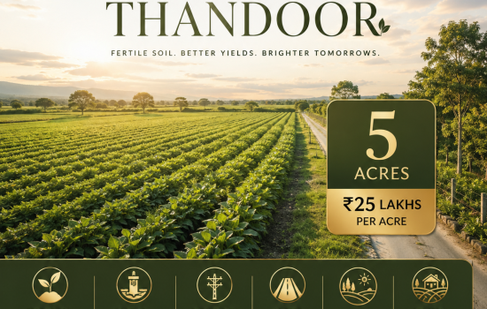 Premium 5 Acre Farmland in Thandoor with Fertile Soil, Borewell, Electricity and 20 Feet Road Access