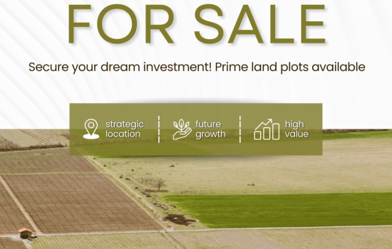 Farmland for sale in Kanigiri Prakasam District at 32 lakhs per acre with strategic location and high growth potential