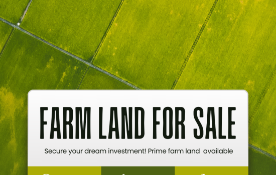 Land plot for sale in Kanigiri Prakasam District at 32 lakhs per acre with strategic location and high growth potential