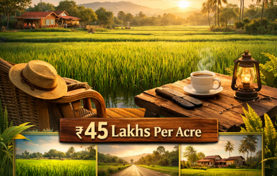 3 Acre Paddy Field Agricultural Land with Borewell Near Warangal Highway Medikonda Jangaon Farmland for Sale ₹45 Lakhs Per Acre