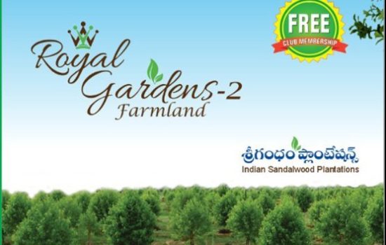 Royal Gardens - 2, Atmakur, YB Highway